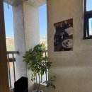 마하 건축사사무소 이미지