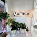 애니멀 살롱 | 운정역 근처 파주 애견미용 말티즈 미용 '애니멀살롱' 후기!