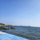 동해시-46 | ​[부산 기장/연화리] "아나고회 성지"에서 찾은 46년 전통 동해횟집, 극강의 신선함!