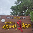인제사과향기민박 | 인제 가볼만한곳 가을꽃축제 구경 팁 기간 주차