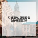 지성세탁 이미지