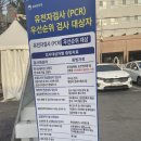 마트 약국 | 코로나 신속항원검사 자가키트 받아온 후기 PCR우선순위 대상자
