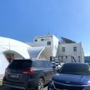 4일] 제주도 여행 &#39;2일차&#39; 일정! (우도일정/온오프/카페살레/우도아이/아줄레주/중문레져UTV/파크선샤인...