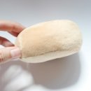 오키독키 이미지