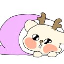 우돈정각