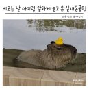 (주)월드코 | 제주 실내 가볼만한곳 아이와 모모쥬동물원 제주신화월드점 다녀온 후기
