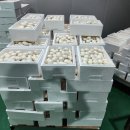 석성농장 이미지