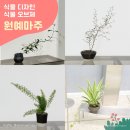 아트앤호프 이미지