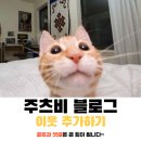 [체크카드 추천] 뉴진스가 광고하는 신한 쏠 트래블 카드 발급 및 사용 후기, 신청방법, 디자인, 환전