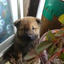 달아실 농원 이미지