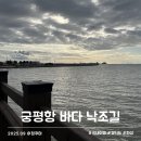 궁평항 어항구역 내 주차장 일부 | 경기도 화성 궁평항 낙조길 푸드트럭 튀김 먹고 바닷가 산책