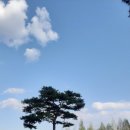 아름다운강산 이미지