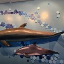 고래생태체험관 화장실 이미지