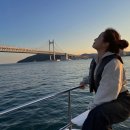 요트탈래