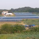 원경농장 이미지