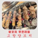고향양꼬치 - 안성시 비룡로 13 | 건대 양꼬치거리 양꼬치 무한리필 고향양꼬치 방문후기 주차팁