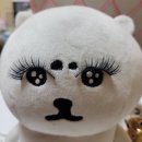 묘차