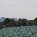 성산별장