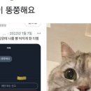 카페인중독 - 관악구 인헌2길 11 | 카페인중독
