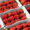 연중농장 이미지