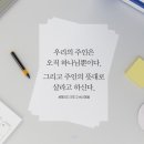 일페이지