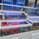 청년수산 이미지