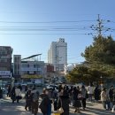 어달해변 | 요즘 핫플 묵호 주말 뚜벅이 당일치기 후기 feat. 어달삼거리 어달해변