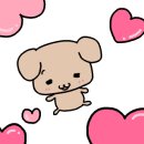양궈푸마라탕충주