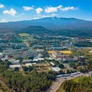 제주대학교 이미지