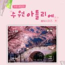 봄빛색