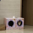 갱스터숯불치킨 | 천고마비의 계절 겨울