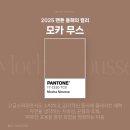 2025년 트렌드 여자머리염색 추천 / 모카무스 염색 / 톤다운염색 추천 / 해피니언 청담 다현쌤