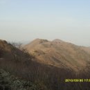 영남상회 이미지