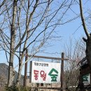 [계룡산] 계룡산 동월숲 글램핑_🌳