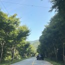 장성닭집 | 장성 남창계곡, 남창농원 계곡 물놀이하고 닭백숙,닭볶음탕 먹고 온 후기