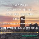 와이드모트