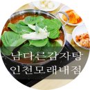 메디팜성지약국 이미지