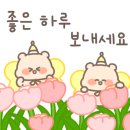 텍스트가든 이미지