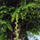 산수동우체국 이미지