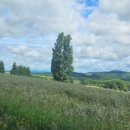 (주)소소팜 이미지