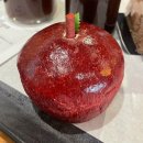 청주서원도서관 | 청주 대형 카페 추천 내돈내산 후기ㅣ스톤폴스 에이커 후마니타스 포이드캐롯