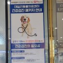 안심동물의료센터 이미지