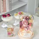 캔들나라 이미지