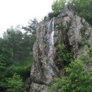 서대산약용자연휴양림 이미지