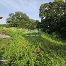 오뚜기공인중개사사무소 이미지