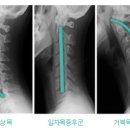 피부야사랑해 이미지