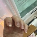 [네일어라모드] 웨딩촬영 네일 추천 웨딩패키지 내돈내산 후기