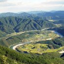 홍천 강가애 이미지