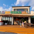 제주여행 3일차 [삼성드림소아청소년과]-[제주미담]-[삼다마을목장]-[쉼터체험농장]-[그루네발트]