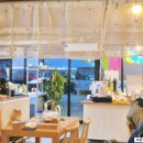 독도회수산 | 강릉 강문해변 맛집, 강문분식에서 독도수산 회까지 먹는 꿀팁 소개 후기